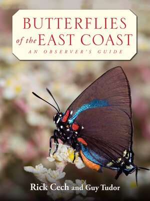 cover image of Butterflies of the East Coast